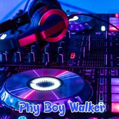 Phy Boy Walker - WTF x Tum Dum OPMX Zin II Bc Zin TM Wa Le Wa ft Bow Chi CowMSH Khmer Remix 2021