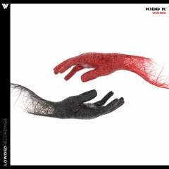 Kidd K - Veins (Radio Edit) #2 Electro House Charts