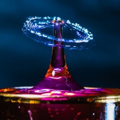 Liquid Evolution (2024)