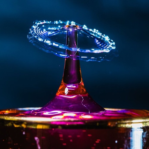 Liquid Evolution (2024)