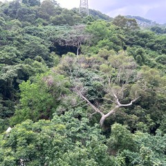 beautiful了༻