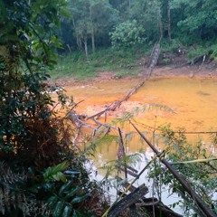 Ponte Pênsil é alvo de reclamações de moradora do KM 107