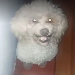 NABILLA