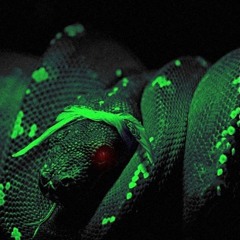 Coolsixty x LNT TRISTO - SLIME MY HOMIES