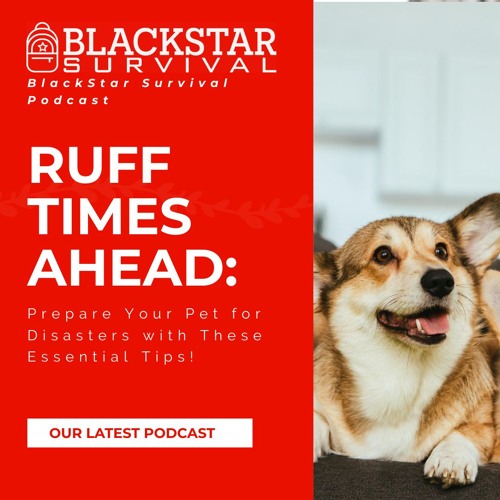 Prepare Your Pet for Disasters with These Essential Tips!