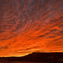 fok just missing her.. ft.INDIGOMAV