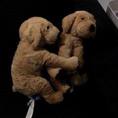 exダーリン／クリープハイプ（cover）