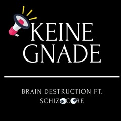 Brain Destruction ft SchiZoCore - Keine Gnade