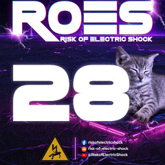 Risk of Electric Shock #28 (2025.08.29)