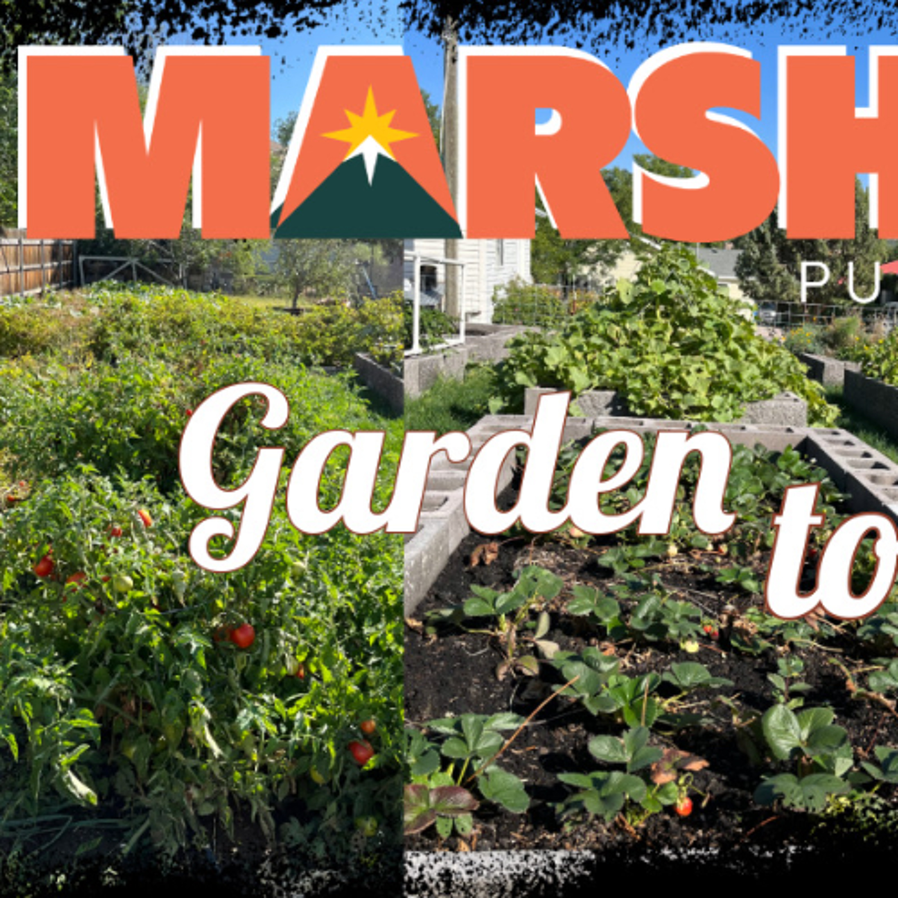 "Garden to Give:" An opportunity to donate to those in need episode artwork