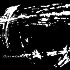 kolumu kestim buarad