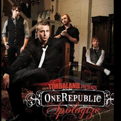 Apologize (Techno Remix)