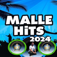 Mt Musix Malle Mix Vol.1 2024