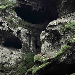 Frontspin b2b Paul Claude