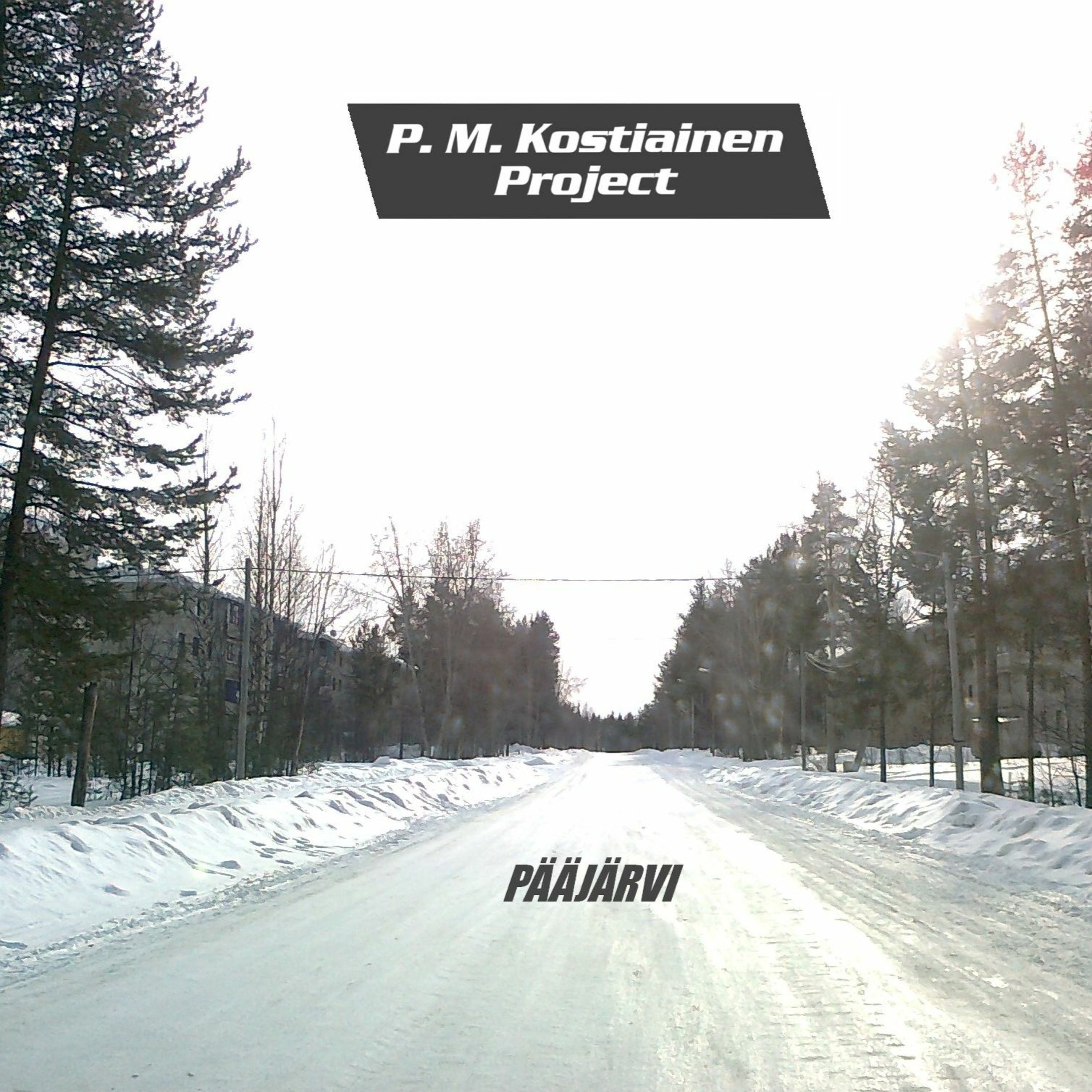 P. M. Kostiainen Project