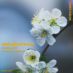 Melodic Dreams #144 - April 21st 2024 [live]