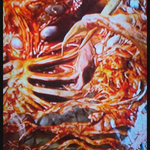 CIRCLES FT. KTS Kobie, Ka$o2$hort & Kn07ed