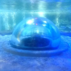 She was a fine thing