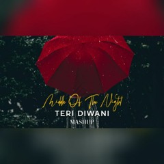 MIDDLE OF THE NIGHT x TERI DEEWANI MASHUP