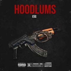 Hoodlums