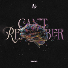 Borid - Can't Remember