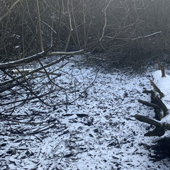 standing in the snow covered forest alone, standing there, thinking of you as my body goes cold