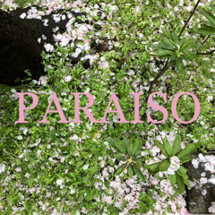 Paraiso(GarageBand,Cubase)