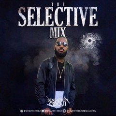 THE SELECTIVE MIXX 041