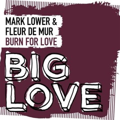 Mark Lower, Fleur De Mur - Burn For Love (OUT NOW)