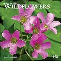 [Read] EBOOK EPUB KINDLE PDF Wildflowers | 2023 7 x 14 Inch Monthly Mini Wall Calendar | BrownTrout