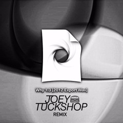 Flume - Why 1.3 (Joey Tuckshop Edit)