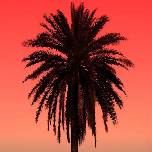 Kriss Mason - Everybody Want To Be At The Disco (teaser)