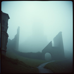 Hollow Kingdom
