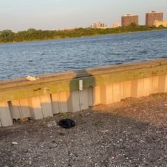 picky preecher (jorko)