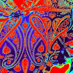 Ty Lera - [>>>] qwerty compost rewerk