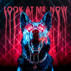 NVPVLM - Look At Me Now