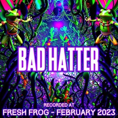 Bad Hatter - Recorded at TRiBE of FRoG Fresh Frog 2023