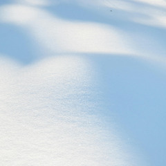 Blanketed in White