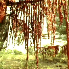 Castigo- Nueve Desconocidos