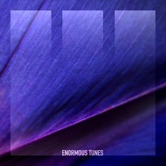 Passenger 10, Delta Vaults - Constellation (Extended Mix) (Enormous Tunes)