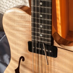 led zep levee P90 pickup comparison
