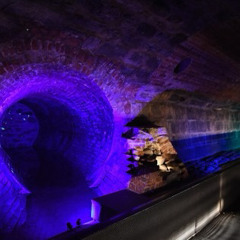 sounds from the sewer (prod fedia)