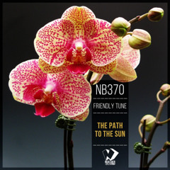 Friendly Tune - Seashells (Original Mix)