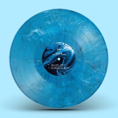 Rizzle & Wingz - Pathways 'Twilight Tones Album' - Dispatch Recordings - OUT NOW