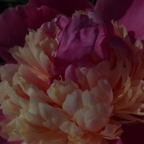 Поцілуй мене придивись1.2х