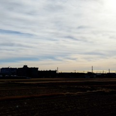 Landscape from a train window