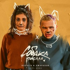 Rozalia feat. Джарахов — Собака писала (Sheps Remix)