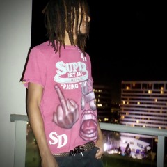 suite life (vili)