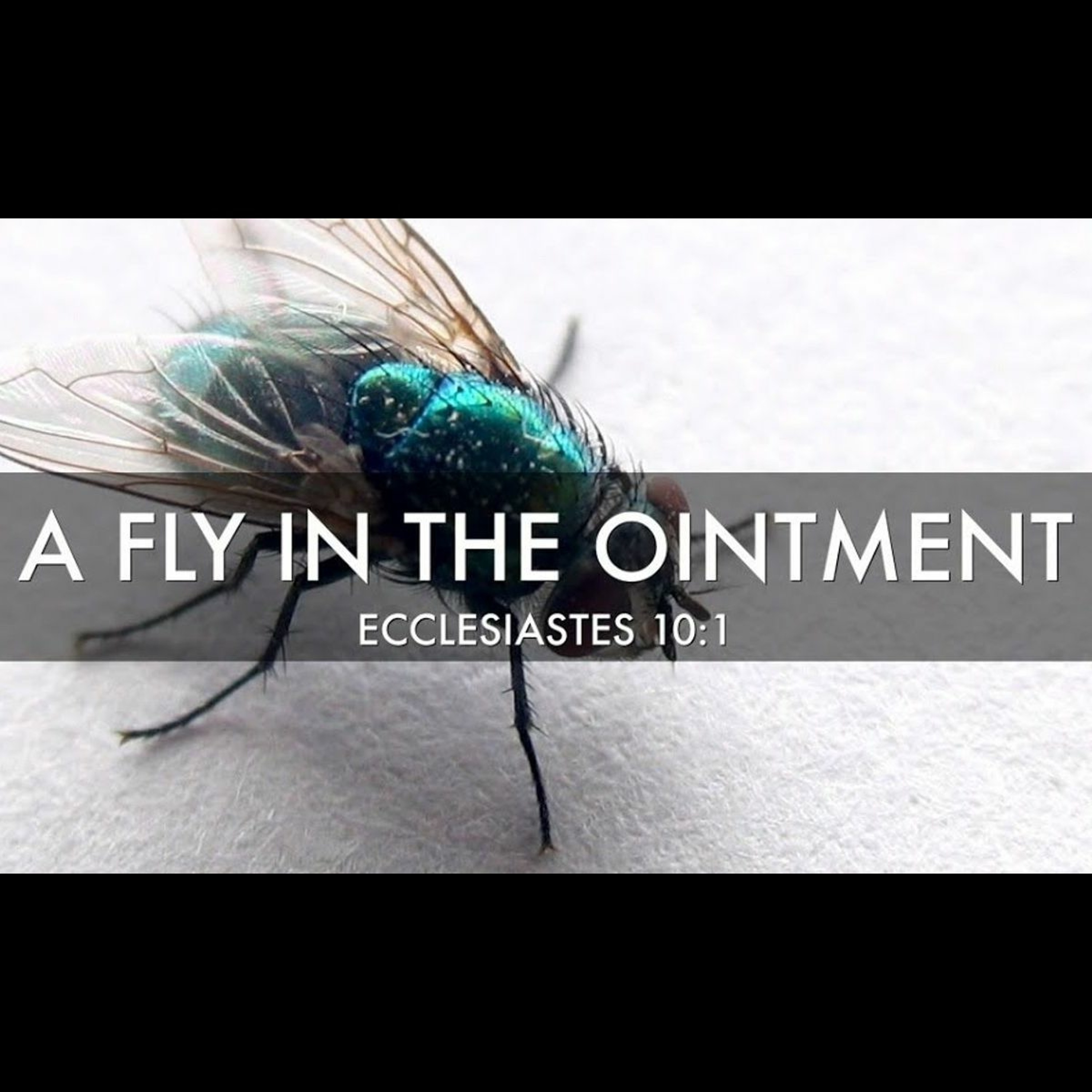 IN THE MIDST OF DECEIT- "FLIES IN THE OINTMENT"