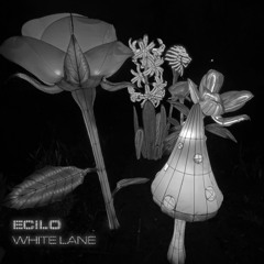 Ecilo - White Lane